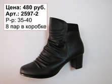 2597-2.jpg