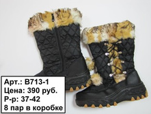 b713-1_8_37-42.jpg