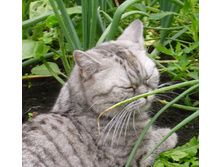 08.09.2009 15:24:08