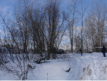 DSC00345.JPG