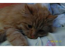 SAM_9294_Edited_Edited.JPG