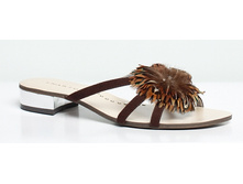 medium_3005-09-12 brown 680 �.jpg