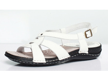 medium_3169-02-12 white 640 �.jpg