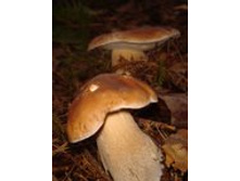 12.09.2009 22:15:45