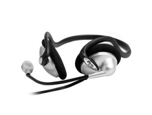 RITMIX RH-331M.jpg