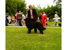 SDC17350_1.jpg