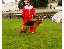 SDC17369_1.jpg