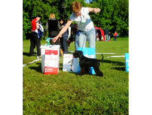 SDC17504_1.jpg