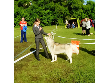 SDC17511_1.jpg