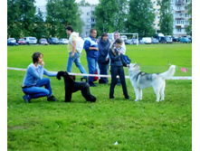 SDC17531_1.jpg
