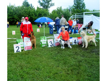 SDC17535_1.jpg