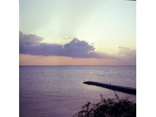 14.09.2009 11:55:35