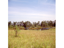 14.09.2009 12:05:21