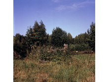 14.09.2009 12:06:01
