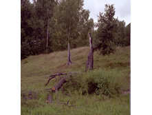14.09.2009 12:06:10