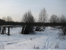 MG_5335.jpg