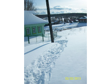 100_5543.JPG