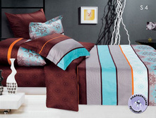 10041899-s4.jpg