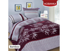 10043672-bamboo.jpg