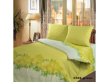 10027876-2568_green.jpg