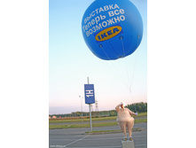 17.09.2009 17:26:41