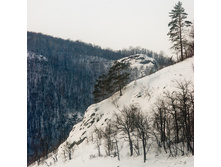 _DSC9004.jpg