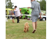 DSC03405.JPG