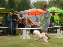 DSC03447.JPG
