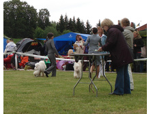 DSC03452.JPG