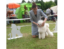 DSC03453.JPG