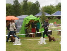 DSC03484.JPG