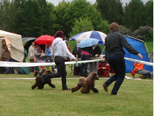 DSC03485.JPG