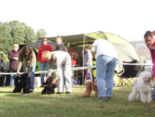 DSC03506.JPG