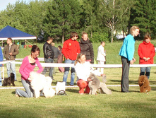 DSC03519.JPG