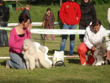 DSC03520.JPG