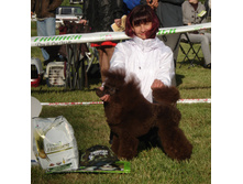 DSC03523.JPG