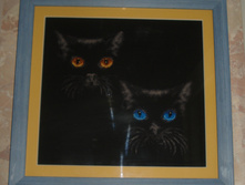 DSC01295.JPG