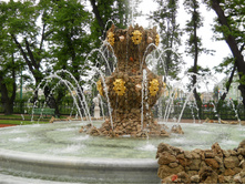 DSCN0893.JPG