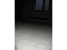 IMG_4864.jpg