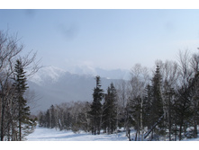DSC05585.JPG