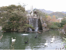 15.11.2010 18:45:57