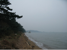 15.11.2010 18:52:14