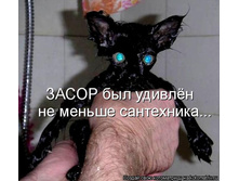 �����.jpg