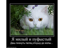 � ����� � �������� ��� �����.jpg
