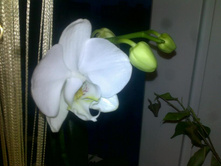 12012012360.jpg