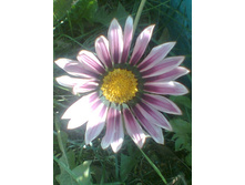 ����023.jpg