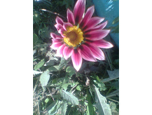 ����026.jpg