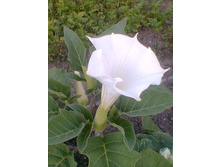 ����059.jpg