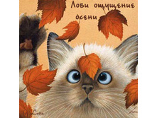 28.09.2009 20:37:58