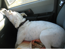 ����� �����..